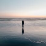 Fenomenologia e Existencialismo